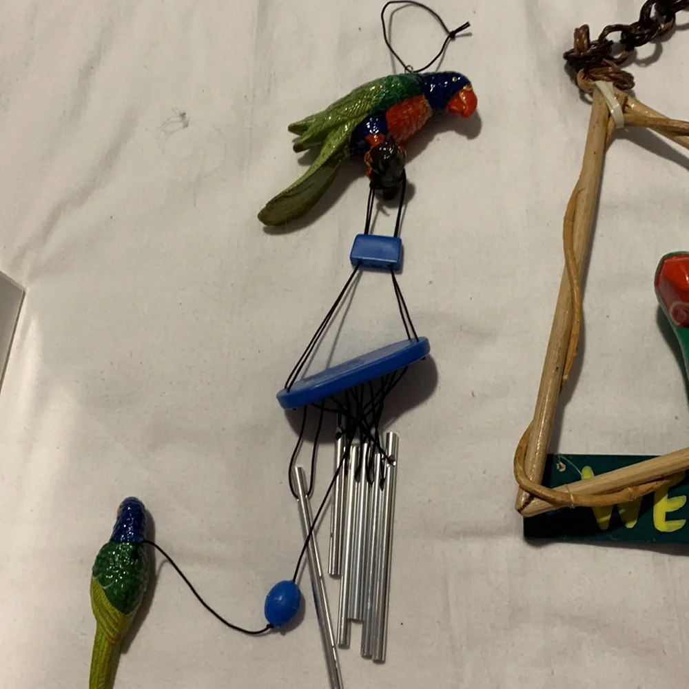 Parrots 🦜 - Picture 8 of 12